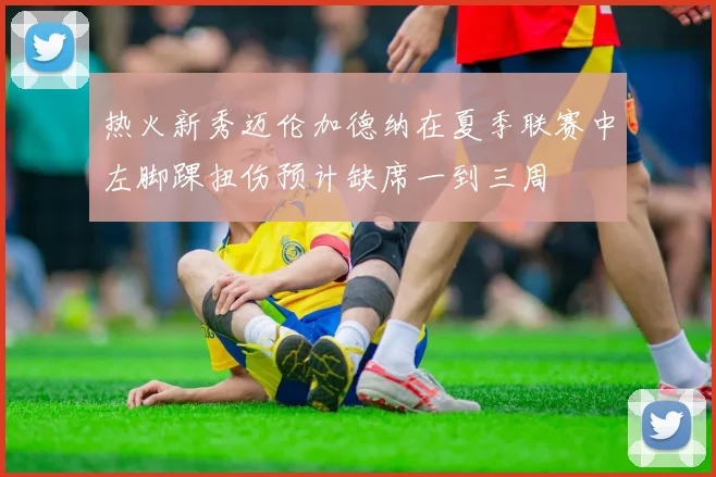 热火新秀迈伦加德纳在夏季联赛中左脚踝扭伤预计缺席一到三周